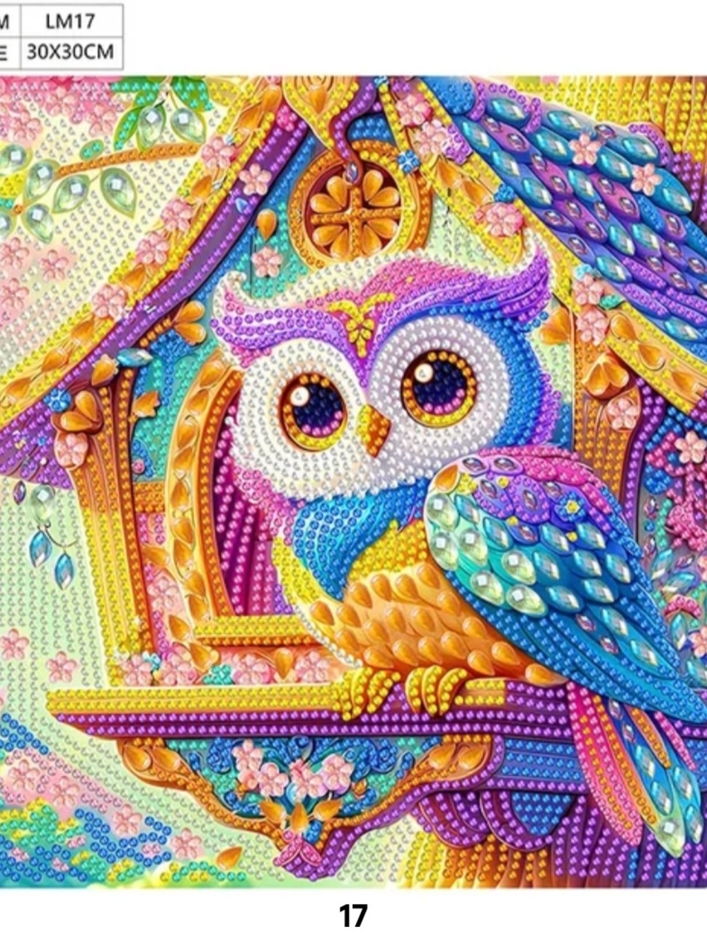 Colorful Owl Diamond Art Wall Panel kit